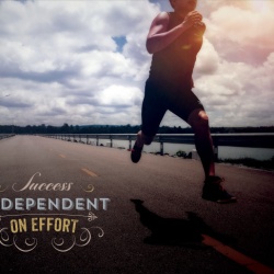 Tablou Motivational - Success Is Dependent On Effort - Img 4