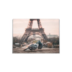 Tablou Canvas Love In Paris - Img 2