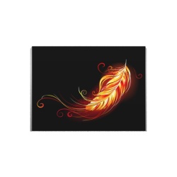 Tablou Canvas Magic Feather - Img 2