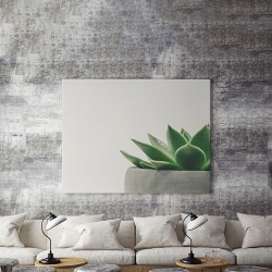 Tablou Canvas Planta Decorativa - Img 3