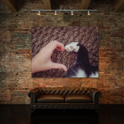 Tablou Canvas Unconditional Love (For Pets) - Img 3