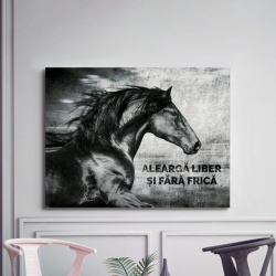 Tablou Motivational - Alearga Liber - Img 3