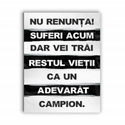 Tablou Motivational - Nu Renunta Acum - Img 3