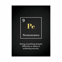 Tablou Motivational - Perseverance (element) - Img 3