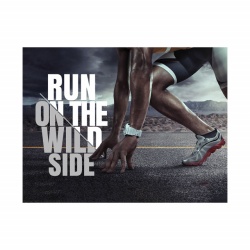 Tablou Motivational - Run on the wild side (athlete) - Img 3