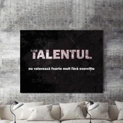 Tablou Motivational - Talentul Nu Valoreaza Foarte Mult - Img 2