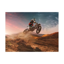 Tablou Motorbike dusty jump - Img 2
