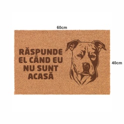 Covor de intrare personalizat - 60x40cm - RASPUNDE EL CAND NU SUNT ACASA - Img 2