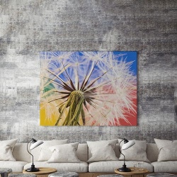 Tablou Canvas Dandelion Close-up - Img 5