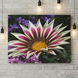 Tablou Canvas Dual Color - Img 3