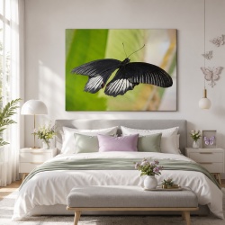 Tablou Canvas Fluture Negru