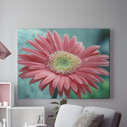 Tablou Canvas Gerbera