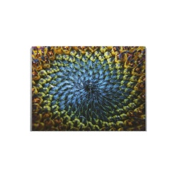 Tablou Canvas Natural Spiral - Img 2