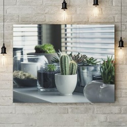 Tablou Canvas Plante De Apartament - Img 2