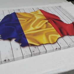 Tablou Canvas Romania Steag Si Contur - Img 5