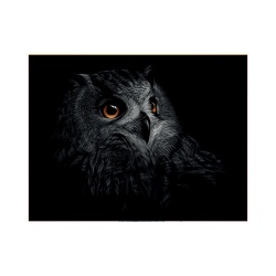 Tablou Grey owl - Img 2