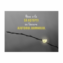 Tablou Inspirational - Sa astepti in tacere - Img 2