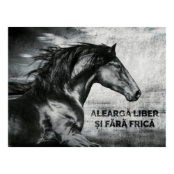 Tablou Motivational - Alearga Liber - Img 4