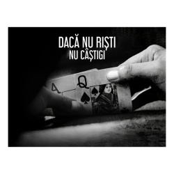 Tablou Motivational - Daca Nu Risti, Nu Castigi - Img 4