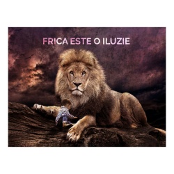 Tablou Motivational - Frica Este O Iluzie - Img 4