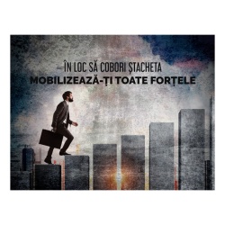 Tablou Motivational - In Loc Sa Cobori Stacheta - Img 3