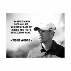 Tablou Motivational - Tiger Woods - Img 3