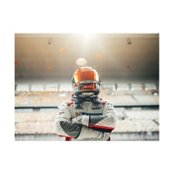 Tablou Racing driver - Img 2