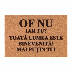 Covor de intrare personalizat - 60x40cm - of nu, iar tu - toata lumea binevenita mai putin tu - Img 3