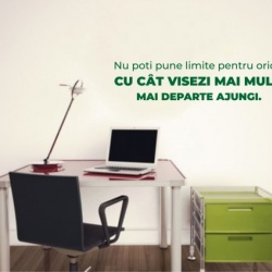 Sticker De Perete Cu Mesaj - Nu Poti Pune Limite - Img 3