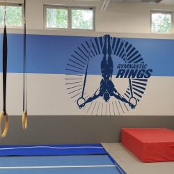 Sticker De Perete Gimnastica Inele
