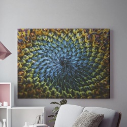 Tablou Canvas Natural Spiral