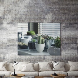 Tablou Canvas Plante De Apartament - Img 3