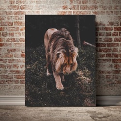 Tablou Canvas Regele Junglei