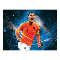Tablou Fotbalisti Virgil van Dijk - Img 3