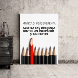 Tablou Motivational - Diferenta Dintre Incepator Si Expert - Img 3
