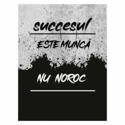Tablou Motivational - Succesul Este Munca - Img 4