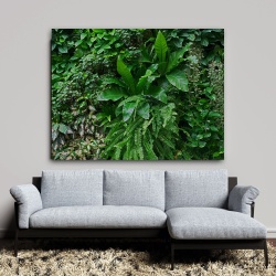 Tablou Vegetatie - Green Forest Wall (062)