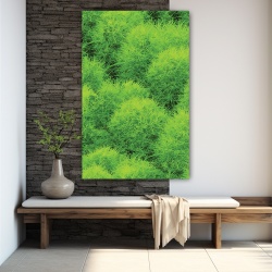 Tablou Vegetatie - Tufis decorativ (013) - Img 4
