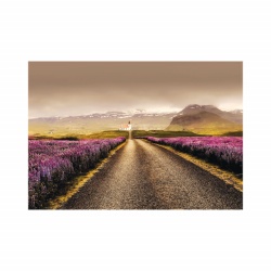 Foto tapet Violet fields - Img 2