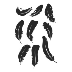 Sticker De Perete Feather Bird - Img 4
