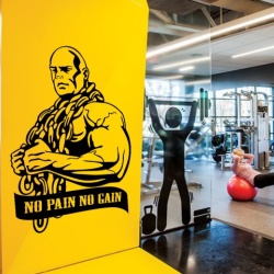 Sticker De Perete No Pain No Gain - Img 1