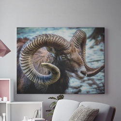 Tablou Canvas - Berbec
