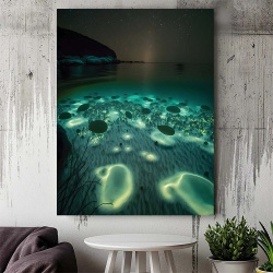 Tablou Canvas - Glowing Subacvatic Vegetation
