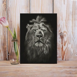 Tablou Canvas Old Simba - Img 2