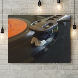 Tablou Canvas Vinyl Close-up - Img 2