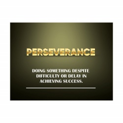 Tablou Motivational - Perseverance - Img 3