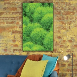 Tablou Vegetatie - Tufis decorativ (013)