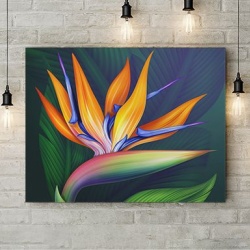 Tablou Canvas Floare Exotica - Img 3