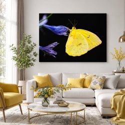 Tablou Canvas Fluture Galben