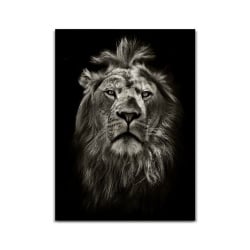 Tablou Canvas Old Simba - Img 3